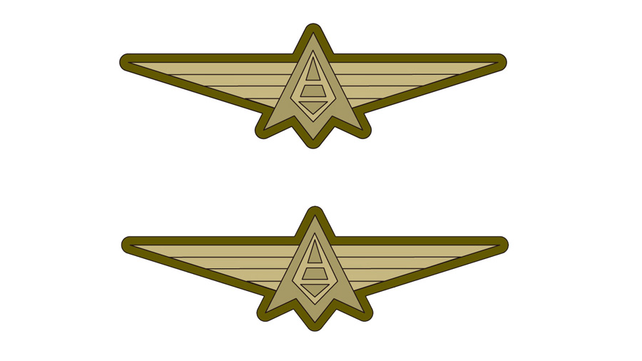 ツィルニトラ共和国空軍マークワッペン（着脱式）2枚セット